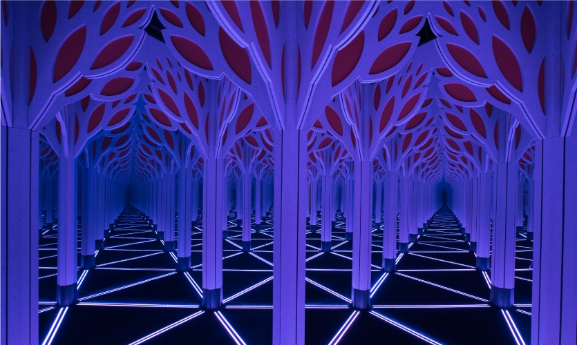 Hitting The Road How Numbers In Nature Became A Traveling Exhibit Segd In Nature Became A Traveling Exhibit, Mirror Maze Msi Chicago