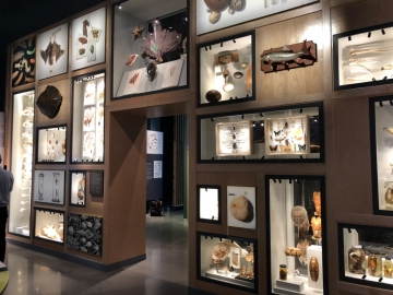 New Bell Museum Opens New Bell Museum Opens