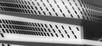 Dazzle Photo of Dazzle Project