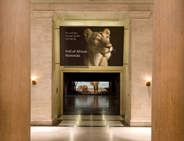 Carbone Smolan Agency, Natural History Museum of Los Angeles Photo of Natural History Museum of Los Angeles exhibit signage