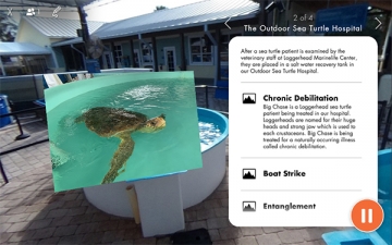 Cortina Productions Saving Turtles with VR at the Loggerhead Marinelife Center