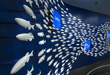 Sitara Systems To Refresh Hospital’s Zebrafish Display With NFC Technology